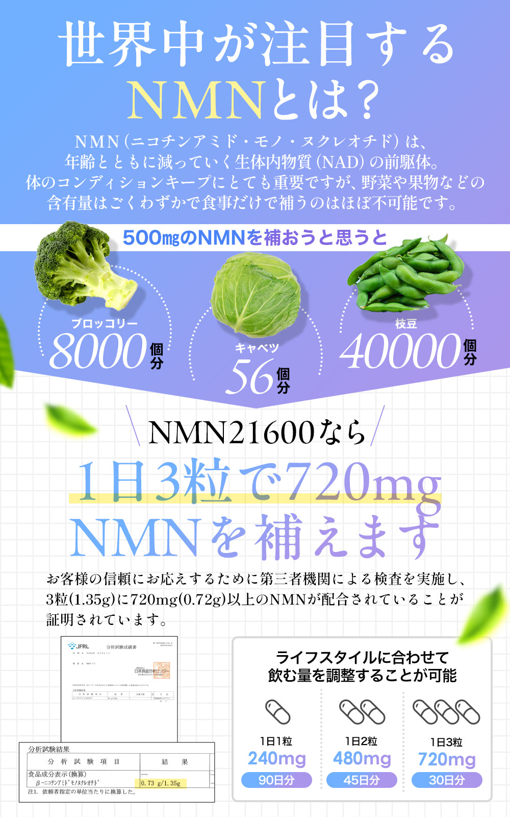 NMN サプリメント 日本製 21600mg(1粒240㎎) 純度100% 栄養機能食品 90カプセル WELLMOTTO