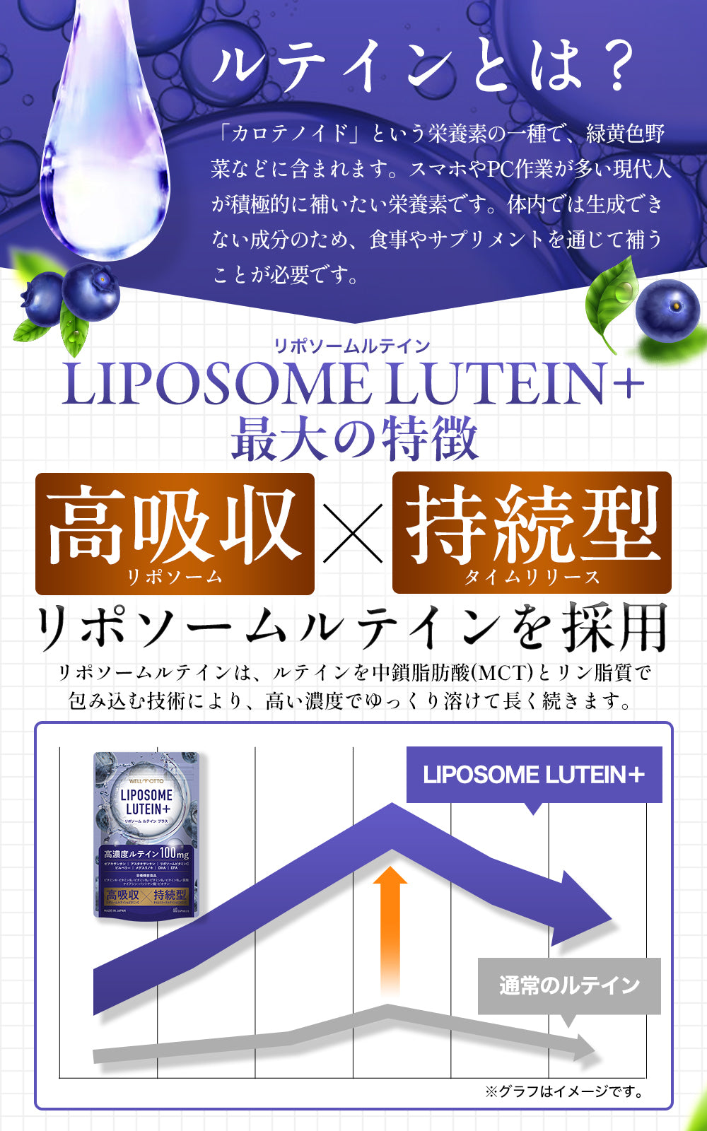 リポソーム ルテイン サプリ 2粒に100mg 高濃度 高吸収 持続型 ゼアキサンチン ブルーベリー 栄養機能食品 60カプセル WELLMOTTO