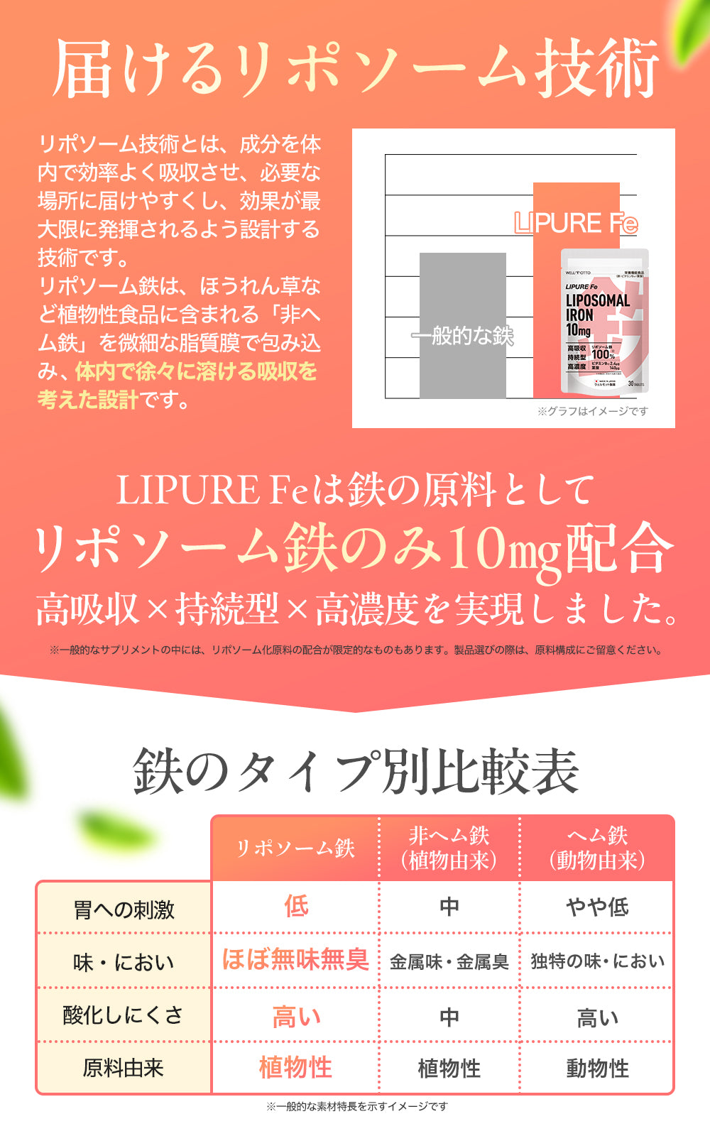 【日本初・日本唯一】リポソーム 鉄分 サプリ 10mg 【テレビで紹介されました】栄養機能食品( 鉄 ビタミンB12 葉酸 ) 30粒 日本製 LIPURE Fe