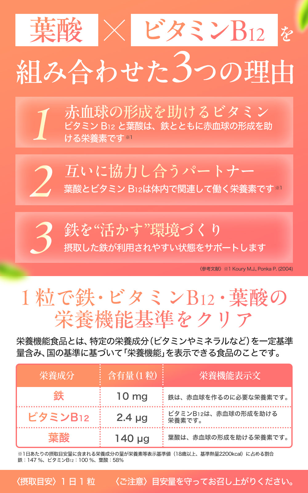 【日本初・日本唯一】リポソーム 鉄分 サプリ 10mg 【テレビで紹介されました】栄養機能食品( 鉄 ビタミンB12 葉酸 ) 30粒 日本製 LIPURE Fe