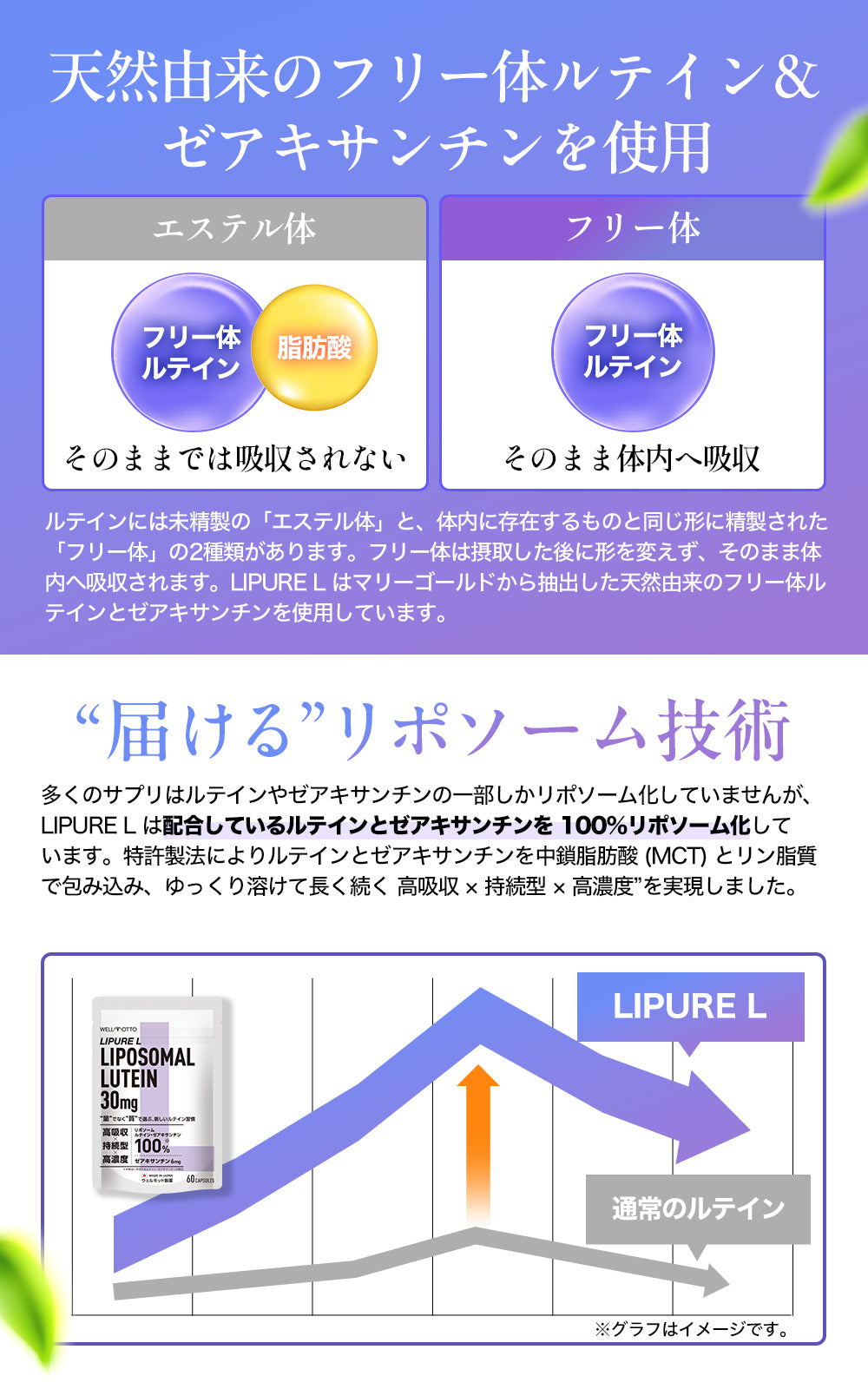 【日本初・日本唯一】 リポソームルテイン リポソームゼアキサンチン サプリ 【テレビで紹介されました】 2粒に ルテイン 30㎎ ゼアキサンチン 6mg 5:1比率 高濃度 高吸収 持続型 日本製 60粒 LIPURE L