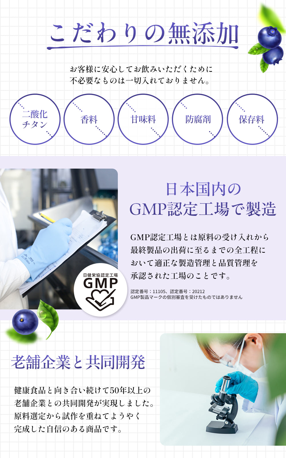 リポソーム ルテイン サプリ 2粒に100mg 高濃度 高吸収 持続型 ゼアキサンチン ブルーベリー 栄養機能食品 60カプセル WELLMOTTO