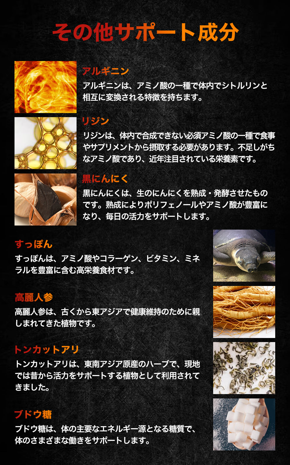 50倍濃縮 マカ サプリ 333,000mg 亜鉛 450mg シトルリン 24000mg バイオペリン 150mg アルギニン THE MACA 栄養機能食品 (12種類の ビタミン ミネラル ) 日本製 150粒 WELLMOTTO