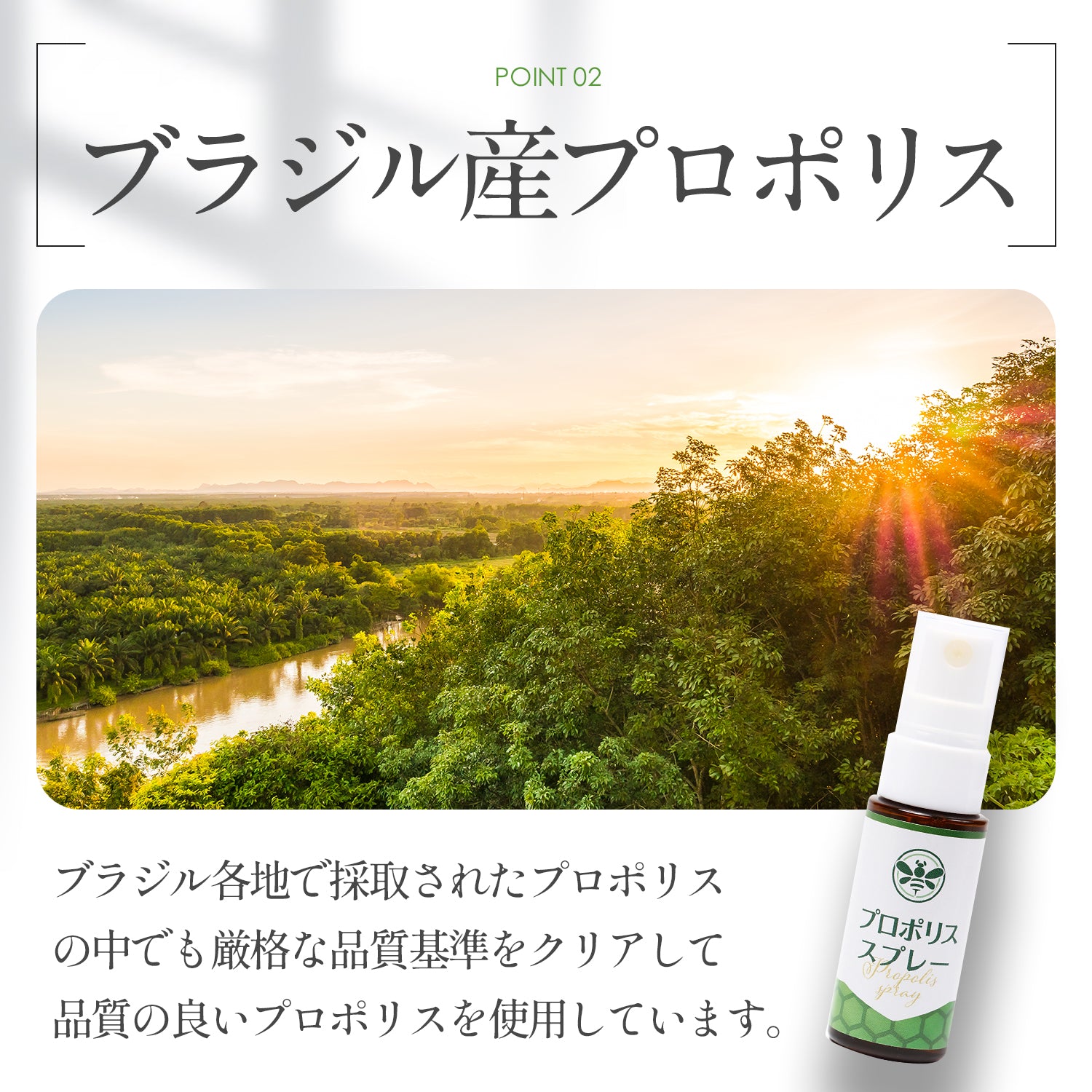 モンドセレクション受賞×製薬会社と共同開発】 プロポリス スプレー 20ml 日本製 – WELLMOTTO 公式ストア